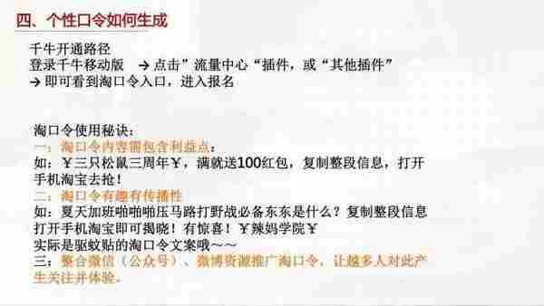 小二完整版PPT告诉你如何玩转淘口令!