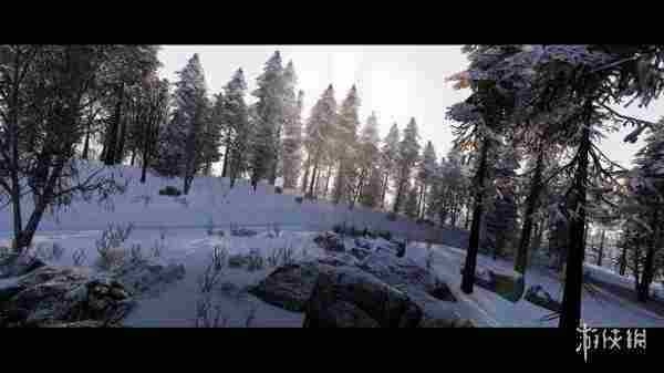 加入混合动力汽车!竞速大作《WRC:世代》正式公布