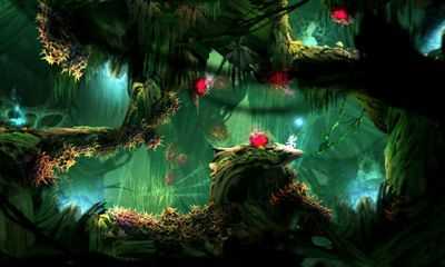 《奥日与黑暗森林》全成就详解 各成就完成方式介绍