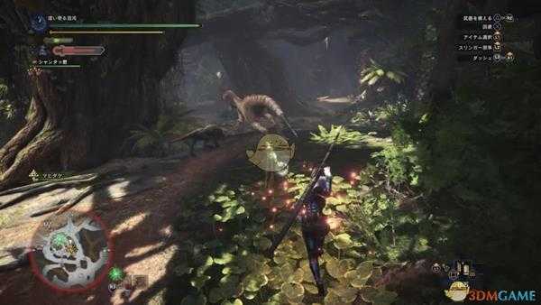 《怪物猎人：世界》搔鸟打法心得 搔鸟怎么打