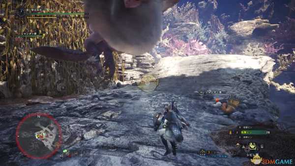 《怪物猎人:世界》浮空龙打法心得详解 浮空龙怎么打