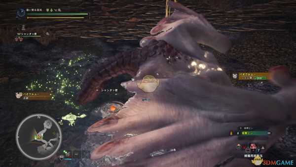 《怪物猎人:世界》浮空龙打法心得详解 浮空龙怎么打