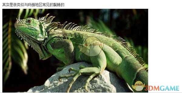 《泰拉瑞亚》中的彩蛋与来源与人文内涵