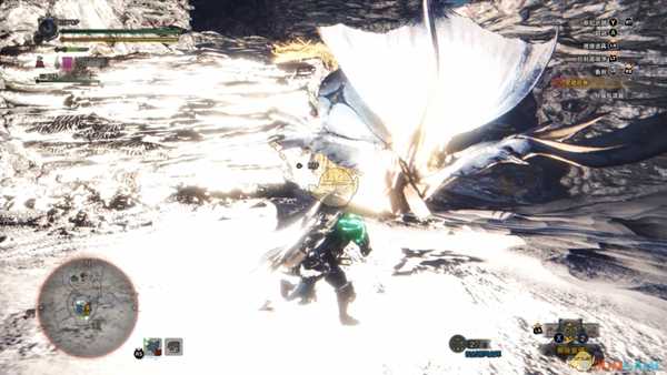 《怪物猎人：世界》风飘龙详细打法心得 风飘龙怎么打