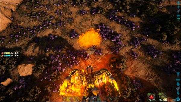 《方舟：生存进化》凤凰饲养心得 凤凰怎么养