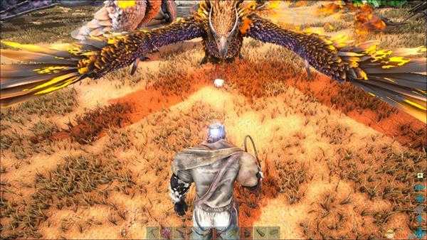 《方舟：生存进化》凤凰饲养心得 凤凰怎么养