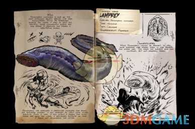 《方舟：生存进化》七鳃鳗详细信息介绍 七鳃鳗是什么生物