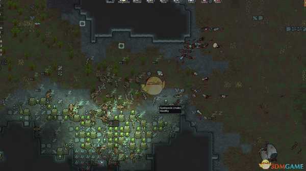 《边缘世界》玉米、土豆、水稻哪个好 初始粮食作物推荐