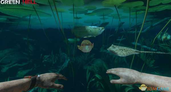 《绿色地狱》游戏内存档方法介绍