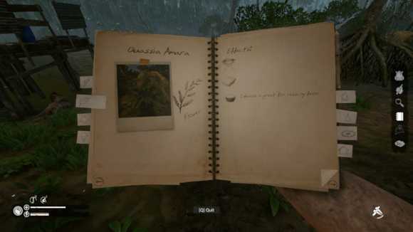 《绿色地狱》植物图鉴 各类植物具体效果介绍