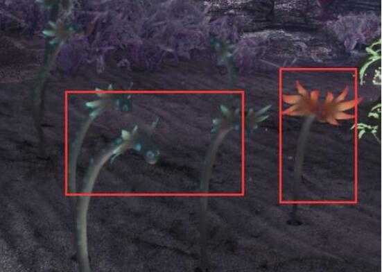 《怪物猎人：世界》摇曳鳗捕捉方法