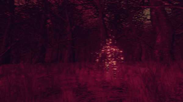 《女巫猎人》全BOSS打法攻略