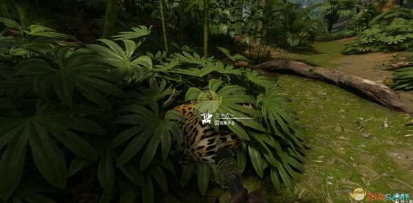 《绿色地狱》出现幻听怎么办 幻听解决方法介绍