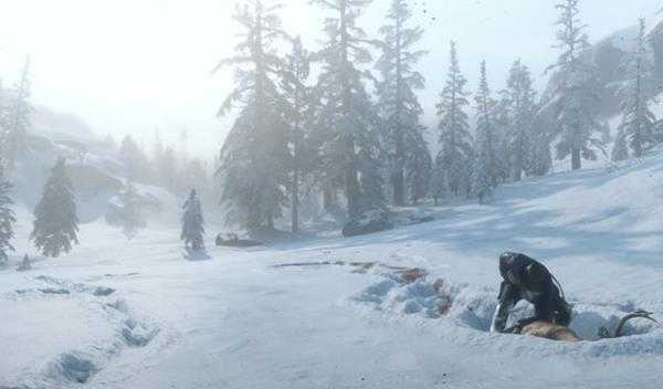 《荒野大镖客2》狩猎和钓鱼方法及作用一览