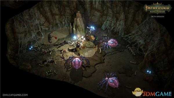 《开拓者：拥王者》全队友角色介绍