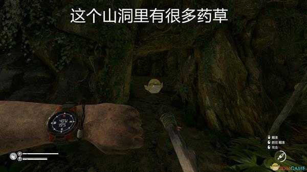 《绿色地狱》特殊地点坐标位置一览