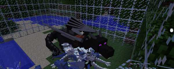 我的世界末影龙指令是什么