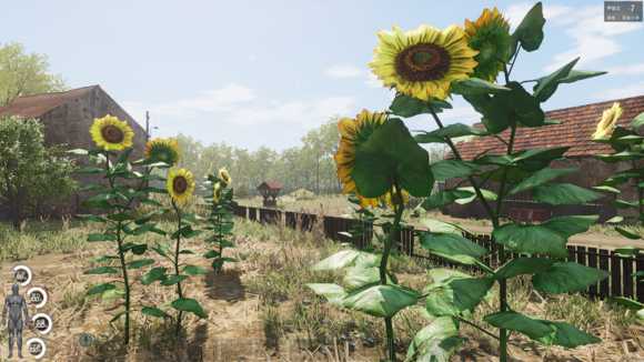 《人渣》野外野果采集种类一览