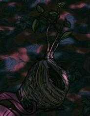 《饥荒》哈姆雷特猪村地图建筑介绍