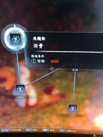 《河洛群侠传》洗髓经获得方法分享