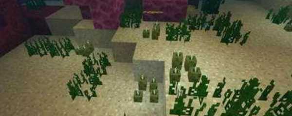 我的世界海泡菜有什么用