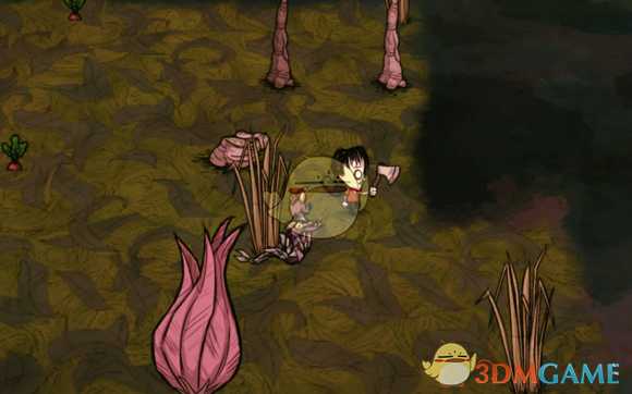 《饥荒》哈姆雷特全自动刷猪人守卫陷阱教程