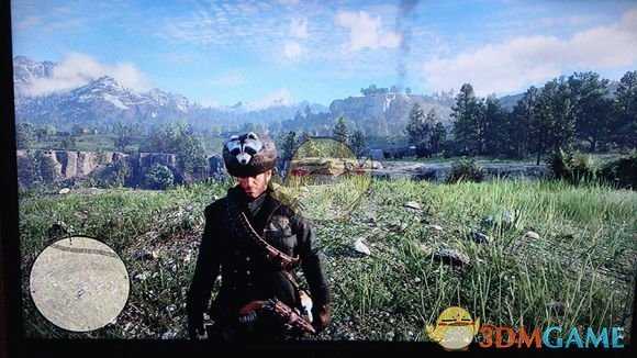 《荒野大镖客2》稀有浣熊帽获得方法介绍