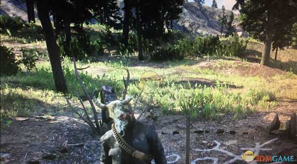 《荒野大镖客2》牛角面具位置分享