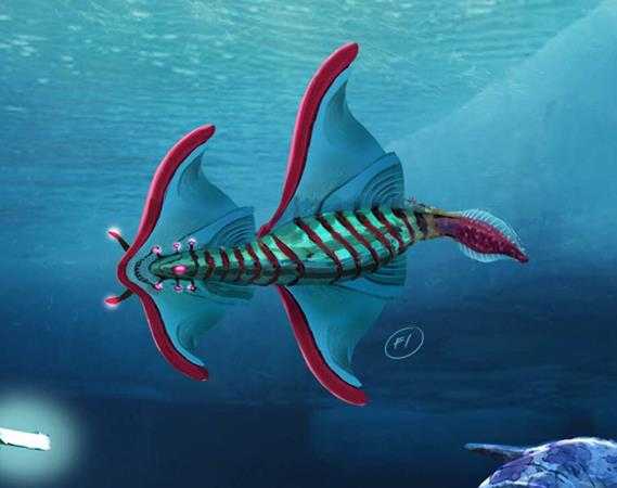 《深海迷航》零度之下生物图鉴