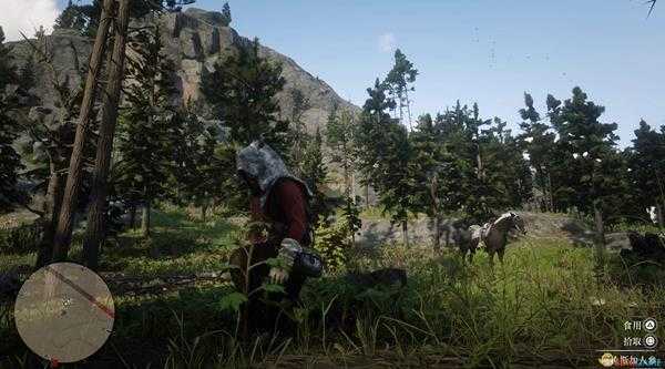 《荒野大镖客2》全草药植物位置一览