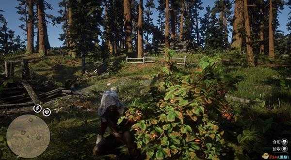 《荒野大镖客2》全草药植物位置一览