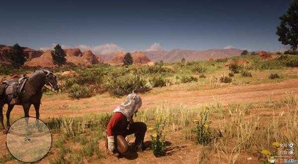 《荒野大镖客2》全草药植物位置一览