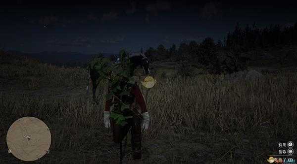 《荒野大镖客2》全草药植物位置一览