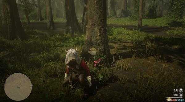 《荒野大镖客2》全草药植物位置一览