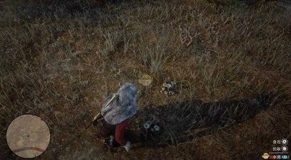 《荒野大镖客2》全草药植物位置一览