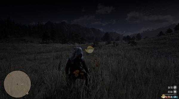 《荒野大镖客2》全草药植物位置一览