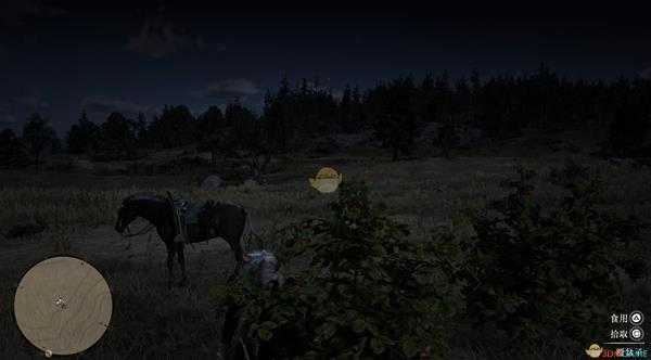 《荒野大镖客2》全草药植物位置一览