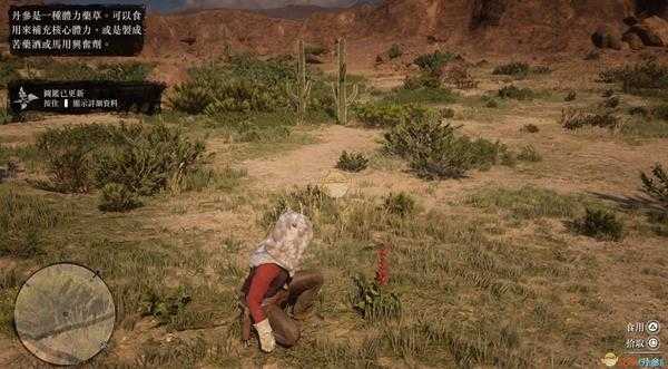 《荒野大镖客2》全草药植物位置一览