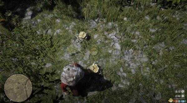 《荒野大镖客2》全草药植物位置一览
