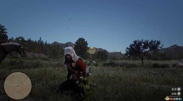 《荒野大镖客2》全草药植物位置一览