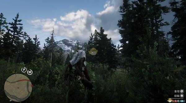 《荒野大镖客2》全草药植物位置一览