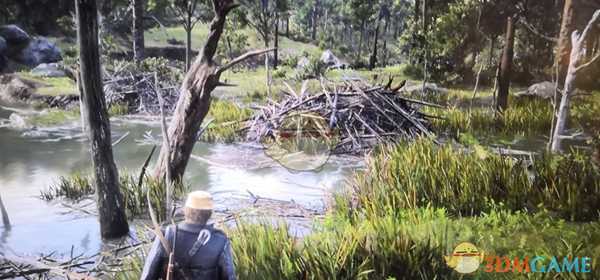 《荒野大镖客2》鸟刷新地点分享