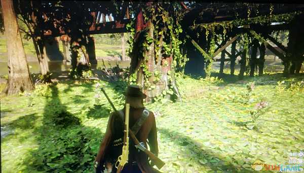 《荒野大镖客2》较多夹竹桃位置分享