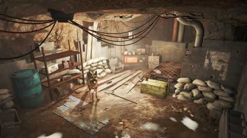 《辐射76》人物突变治愈方法一览