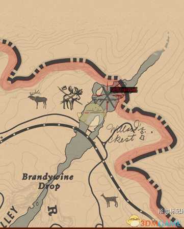 荒野大镖客传说鱼