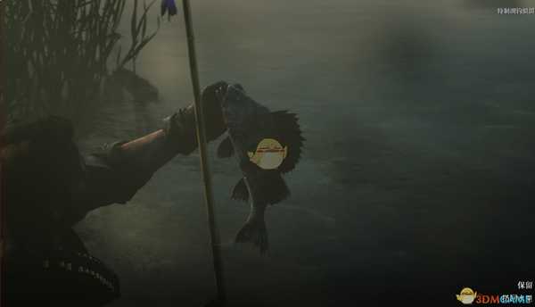 荒野大镖客传说鱼