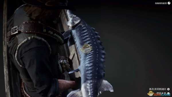 荒野大镖客传说鱼