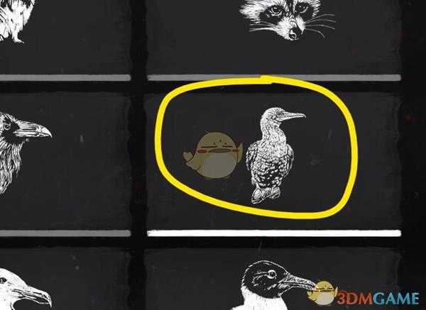 《荒野大镖客2》瓜马岛特有动物捕捉攻略