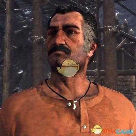 《荒野大镖客2》全范德林帮成员剧情一览