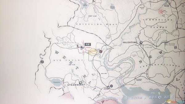 《荒野大镖客2》海角鸥刷新点位置指南
